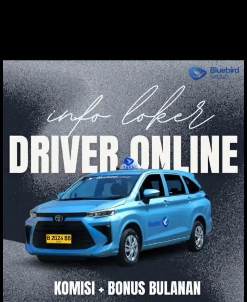 Driver BlueBird Group