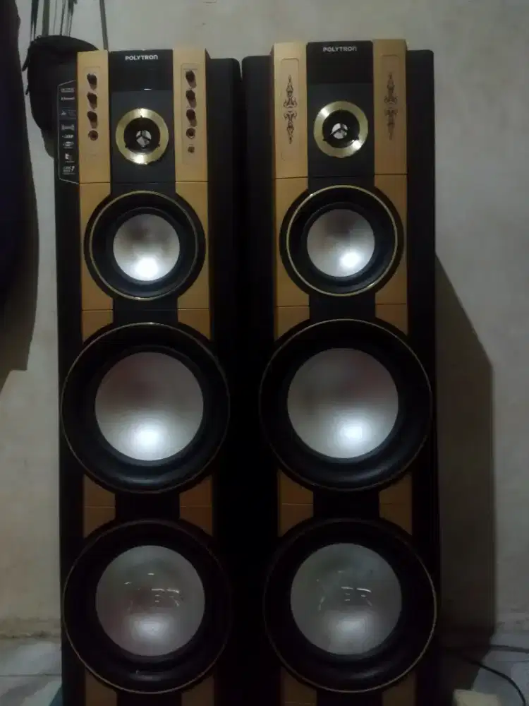 Speaker Polytron PAS69