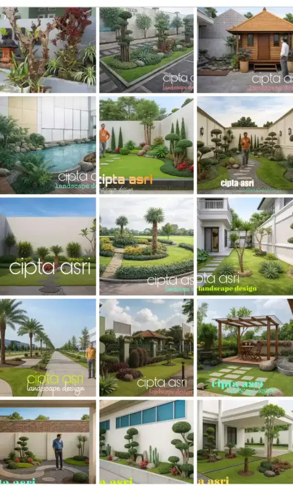 Jual rumput hias gajah mini