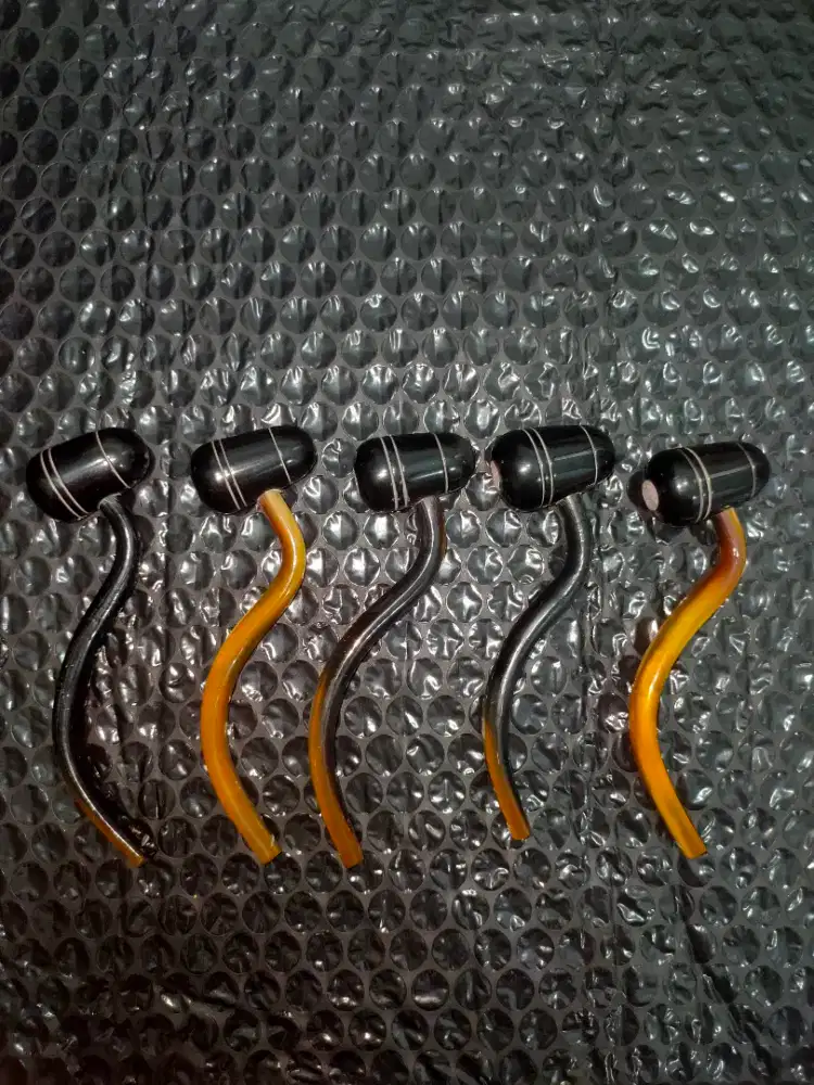 PIPA CANGKLONG TANDUK SAPI