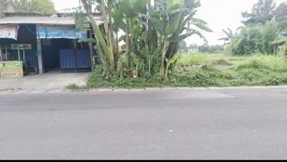 Dijual Tanah Sawah Di Jalan Raya Purbaya Warak Sumberadi Mlati Sleman