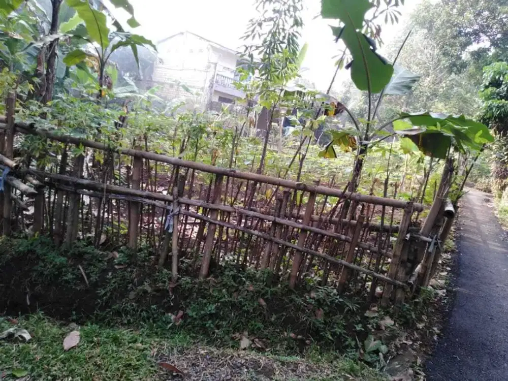 Dijual Tanah Murah Luas 450 m, Kukupu, Cibadak,  Tanah Sareal Bogor