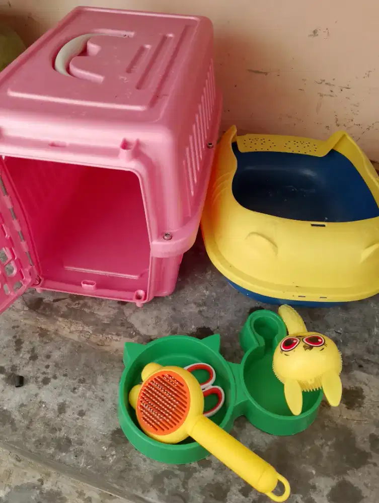 Pet cargo / kandang kucing dan peralatan