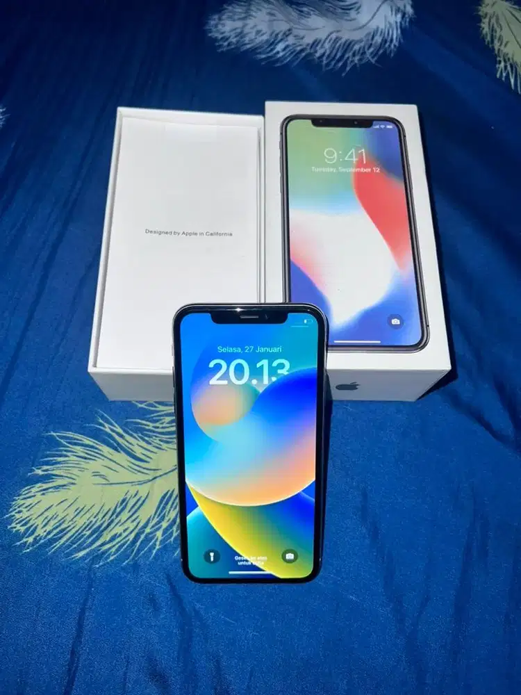 Iphone X 256 GB All Operator