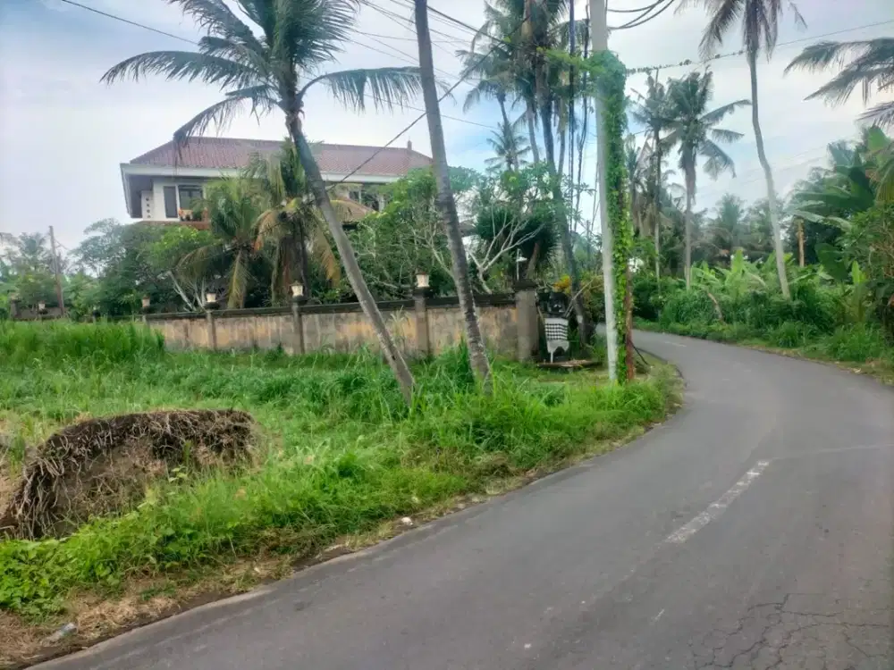 BUC 10 Are Pinggir Jalan Utama Pering Gianyar Bali