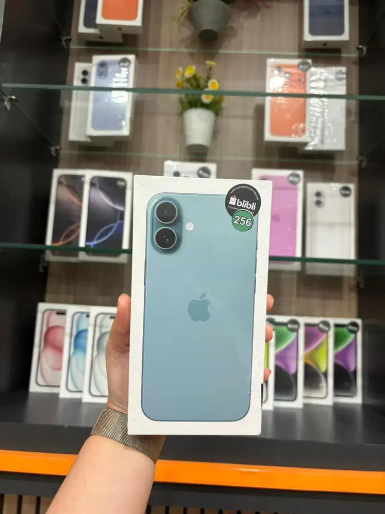 16 plus 256 teal new