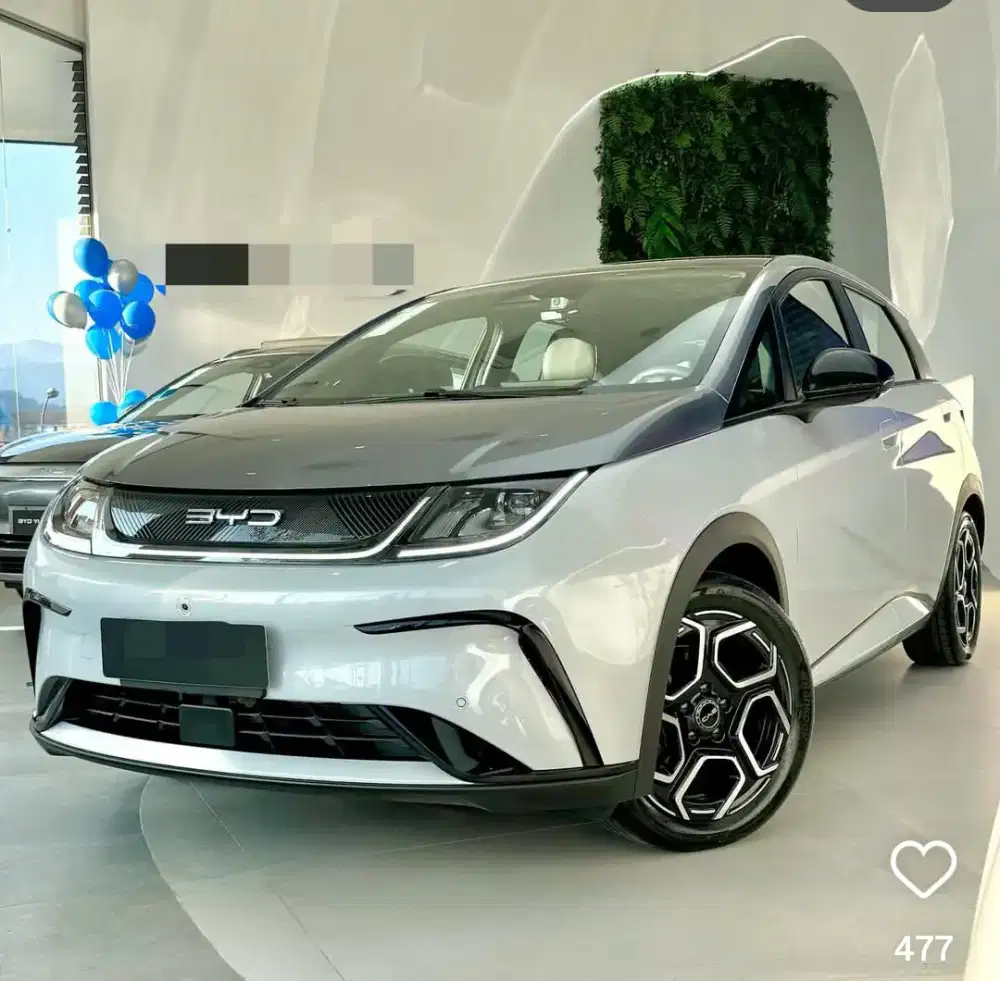 BYD Dolphin Premium EV 2024/2025 (D) Panoramic