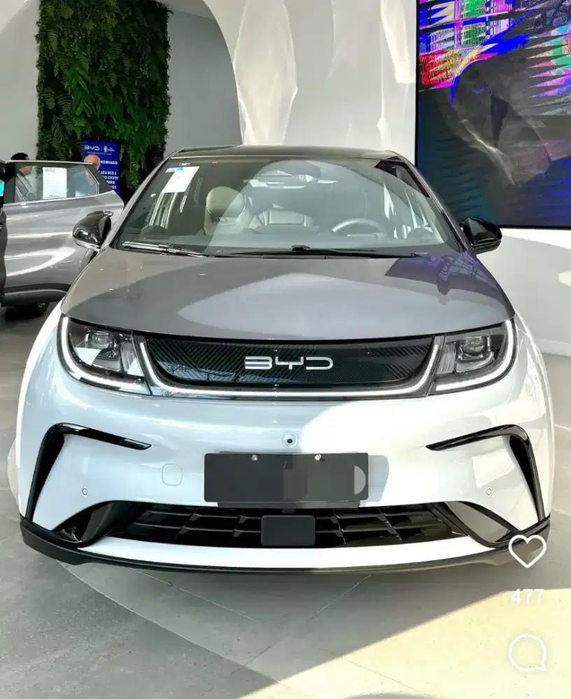 BYD Dolphin Premium EV 2024/2025 (D) Panoramic