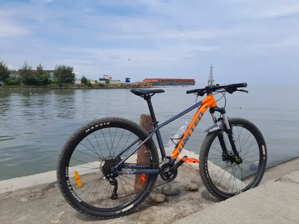 United clovis 3 29er