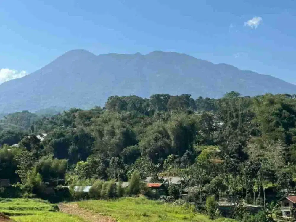 dijual tanah murah di puncak cisarua bogor shm