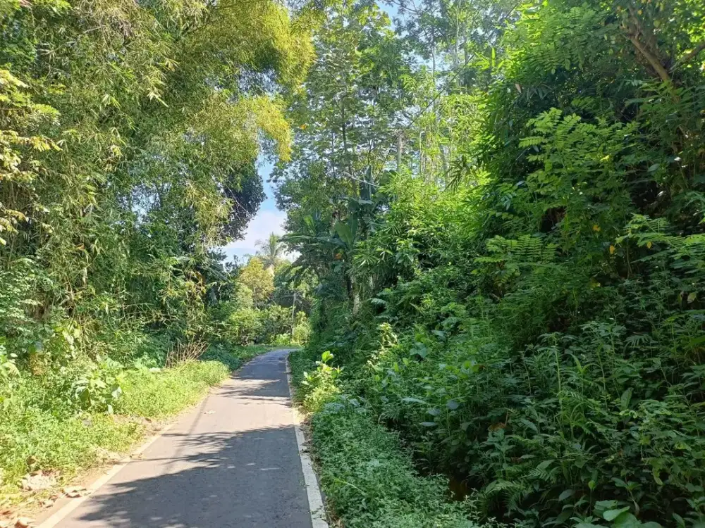 DIJUAL TANAH STRATEGIS DALAM KOTA MALANG!