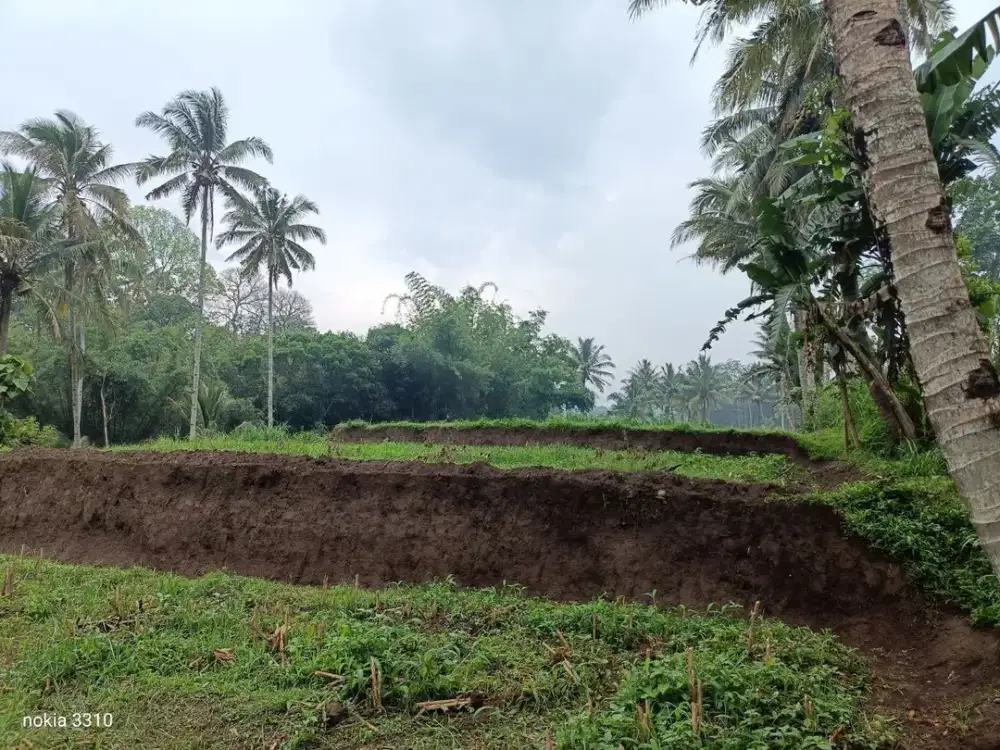 DIJUAL SAWAH PRODUKTIF – PONCOKUSUMO MALANG