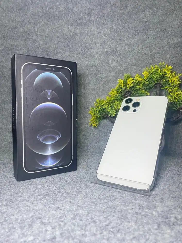 iPhone 12 Promax 128gb NEGOO