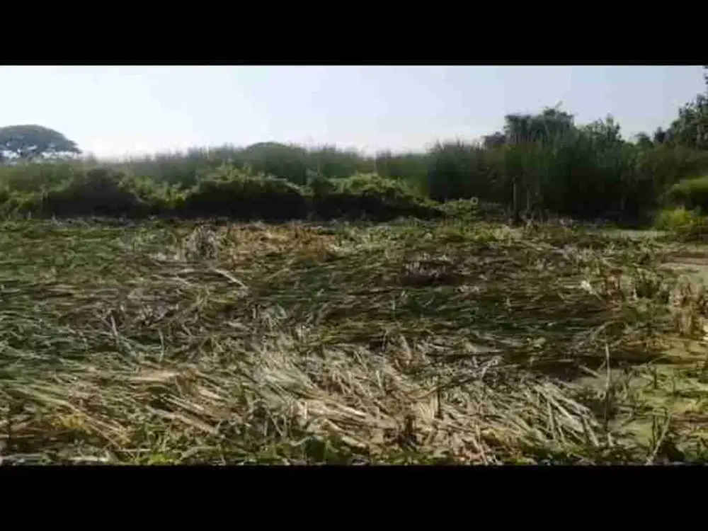 Dijual 2 Bidang Tanah di Rungkut Surabaya