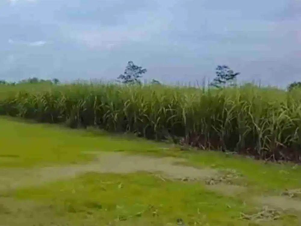 jual murah tanah bagus untuk usaha pabrik ,gudang ,kantor ,toko galangan  d kota Jombang