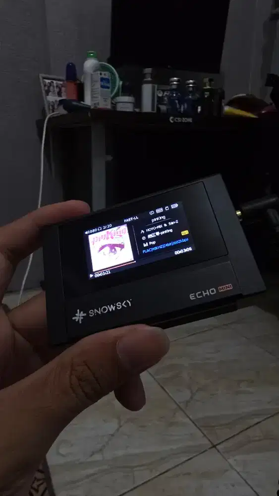 FiiO SnowSky Echo Mini