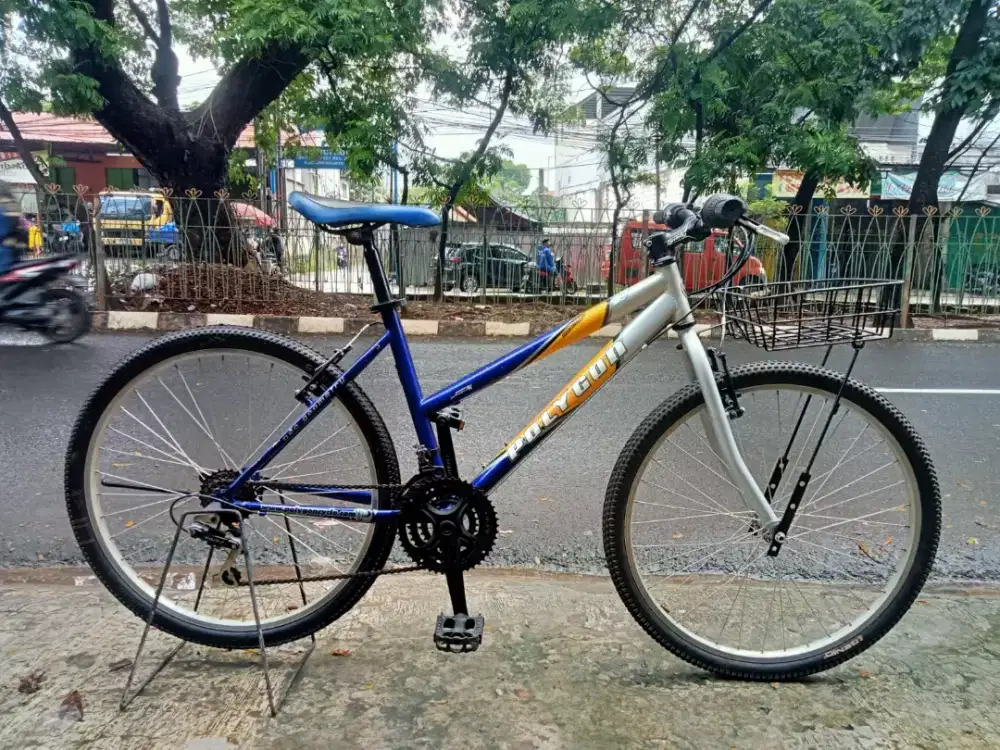 Sepeda mtb lady ukuran 26 vintage commuter bike polygon