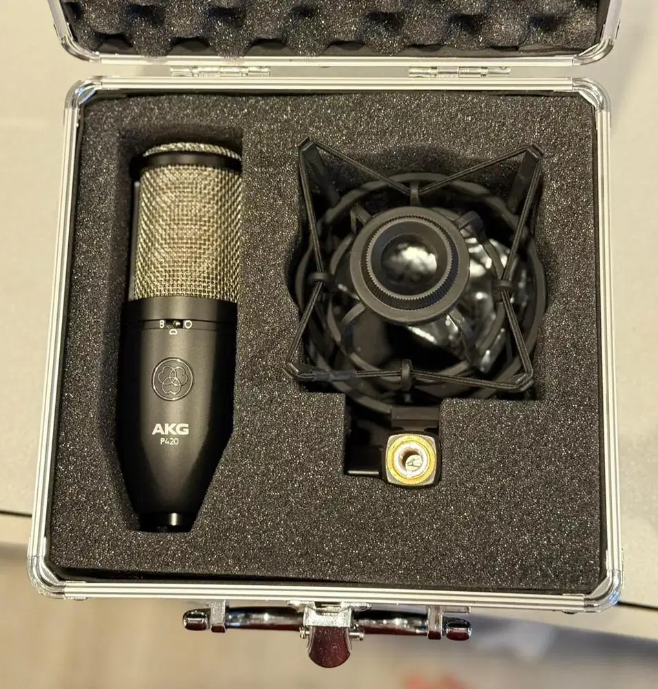 Soundcard solo & Mic AKG P420