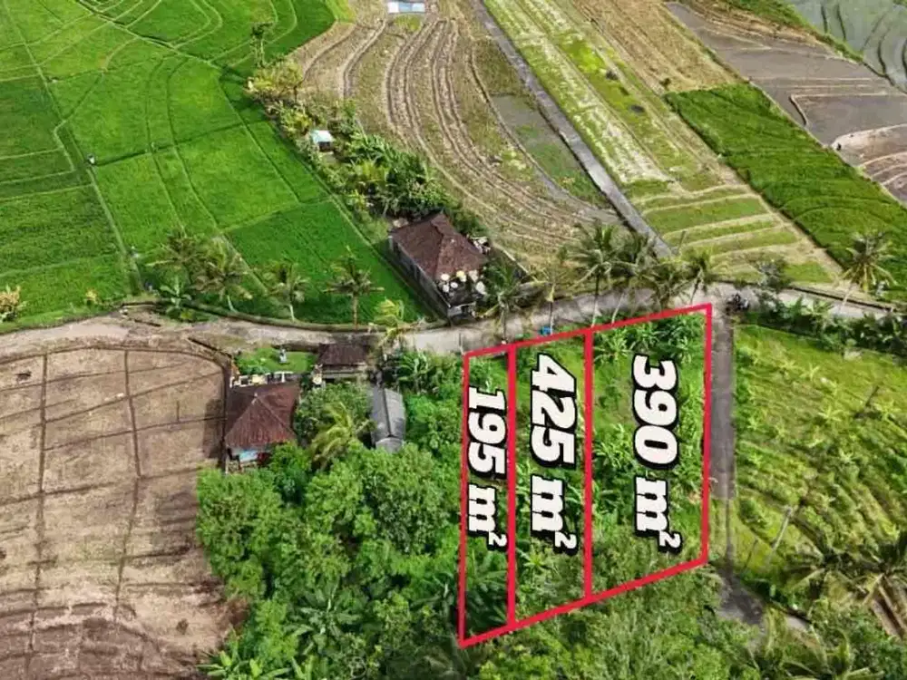 jual tanah view sawah luasan kecil di tabanan bali.