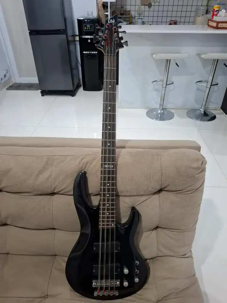 Bass ltd 8string
