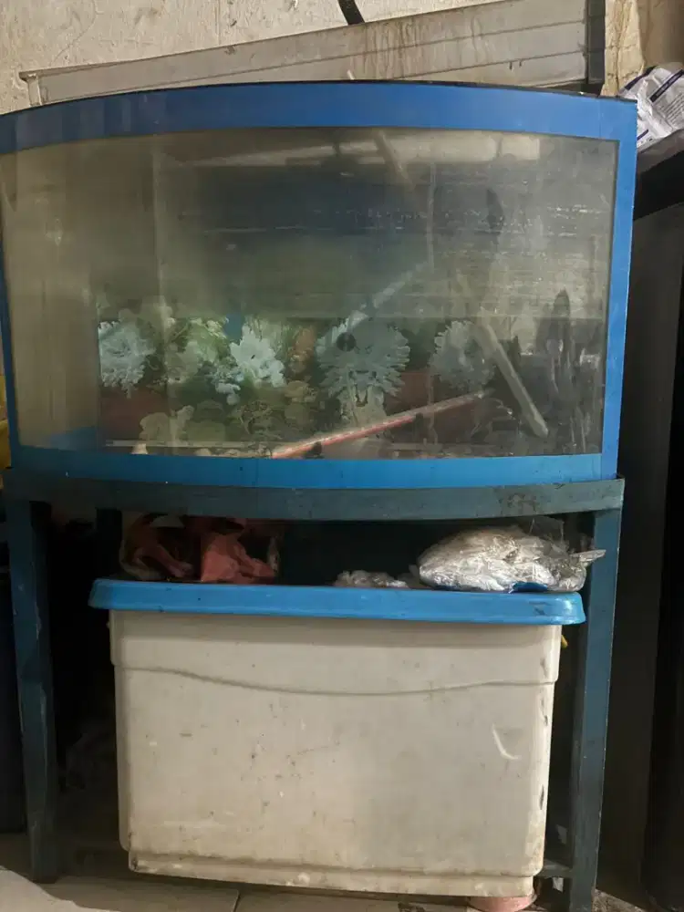 Jual aquarium plus rangka besi