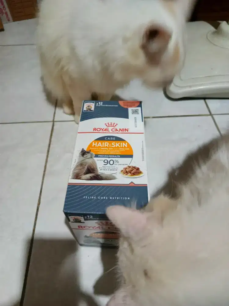 Wetfood RC Hair n Skin 12Pch