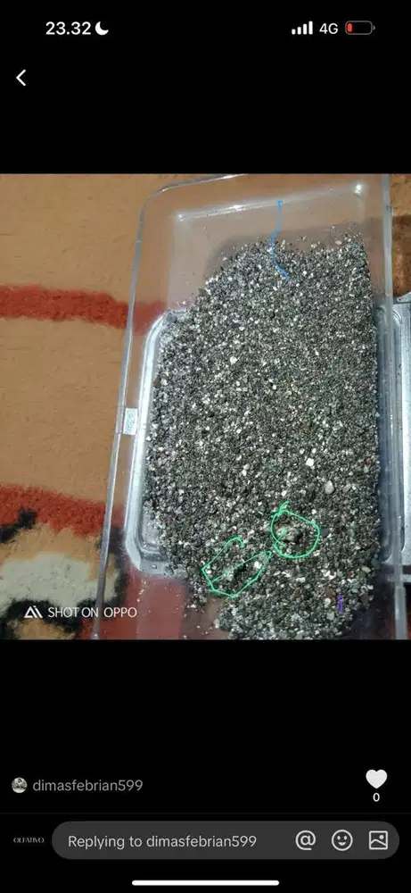 Lowongan Staff Lapangan Untuk Ke Tambang Masyarakat