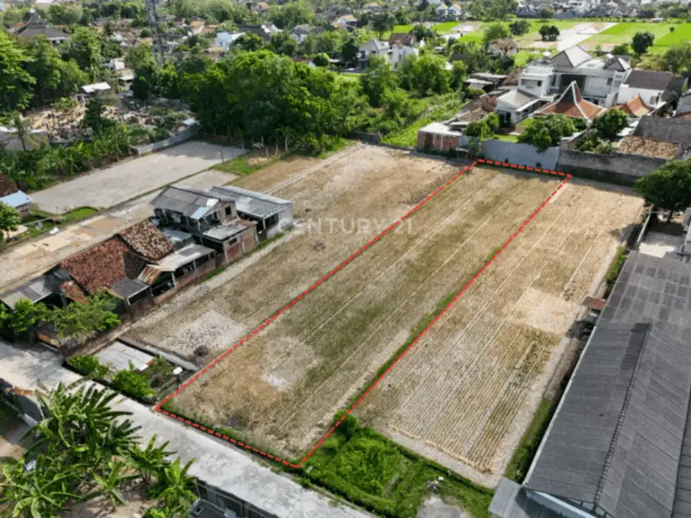 Tanah Sawah LT 1126m2 Di Berbah Sleman Hanya 100 M Dari Jogja TV