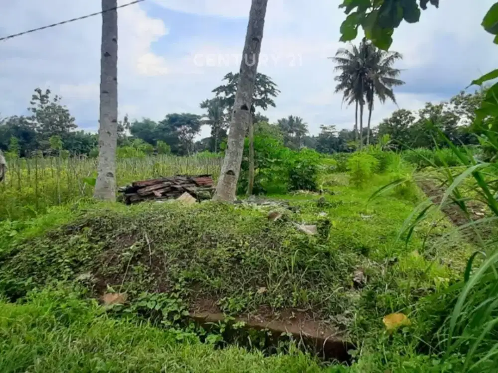 Tanah Sawah 464m2 Di Seyegan Dekat Pemda Sleman Untuk Hunian
