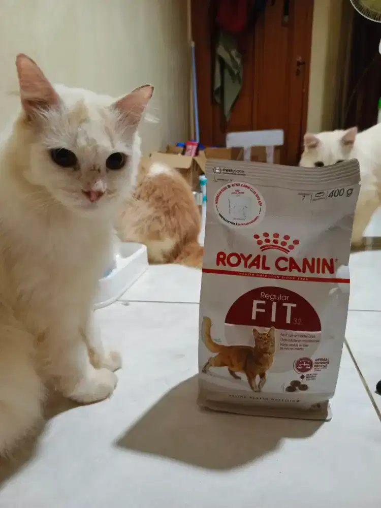 Royal canin regular fit 400gr