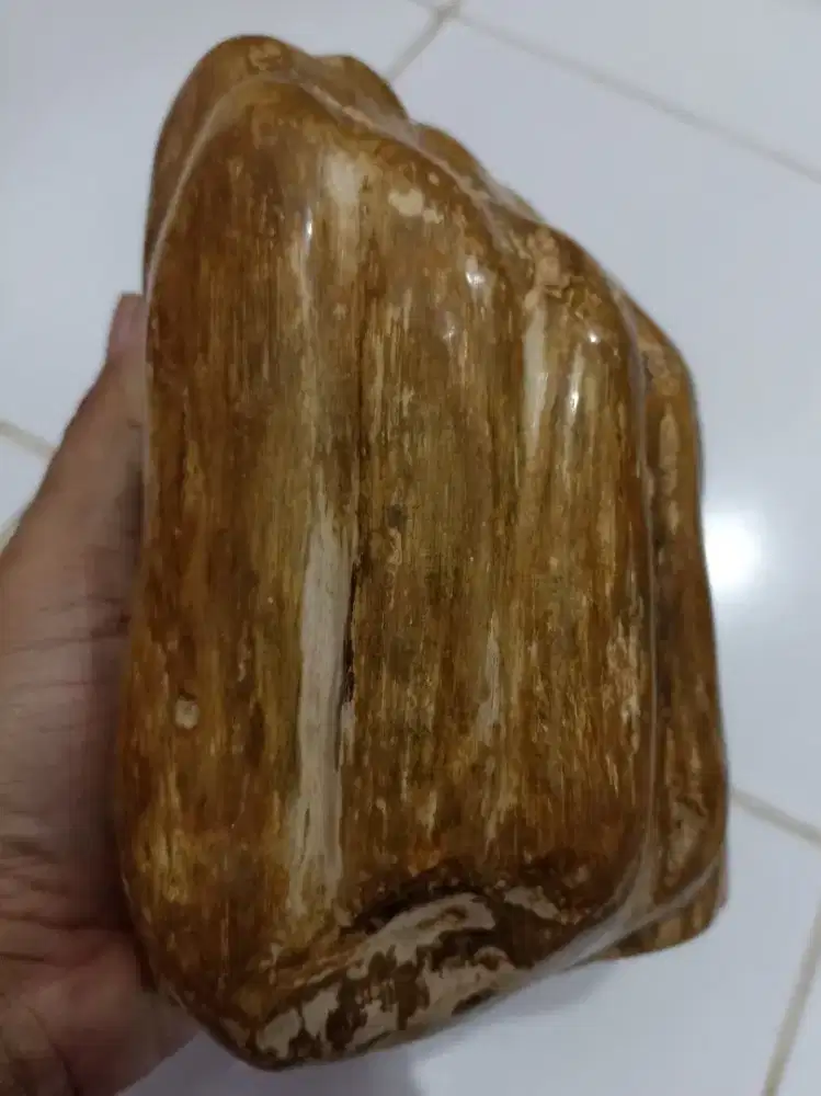 Pajangan Fosil Kayu Cakep