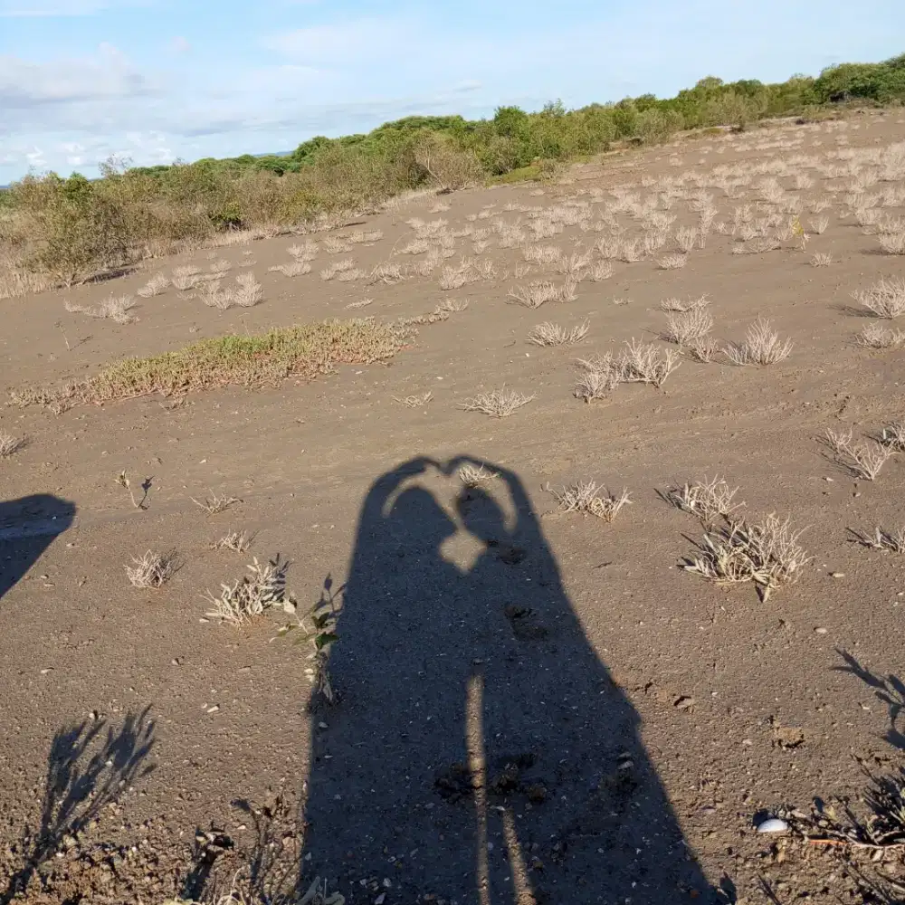 Saya sedang mencari pekerjaan