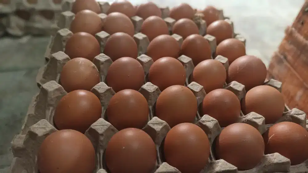 GUDANG ENDOG BANDUNG