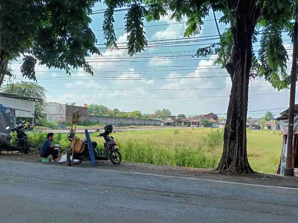Di jual tanah Raya pilang
