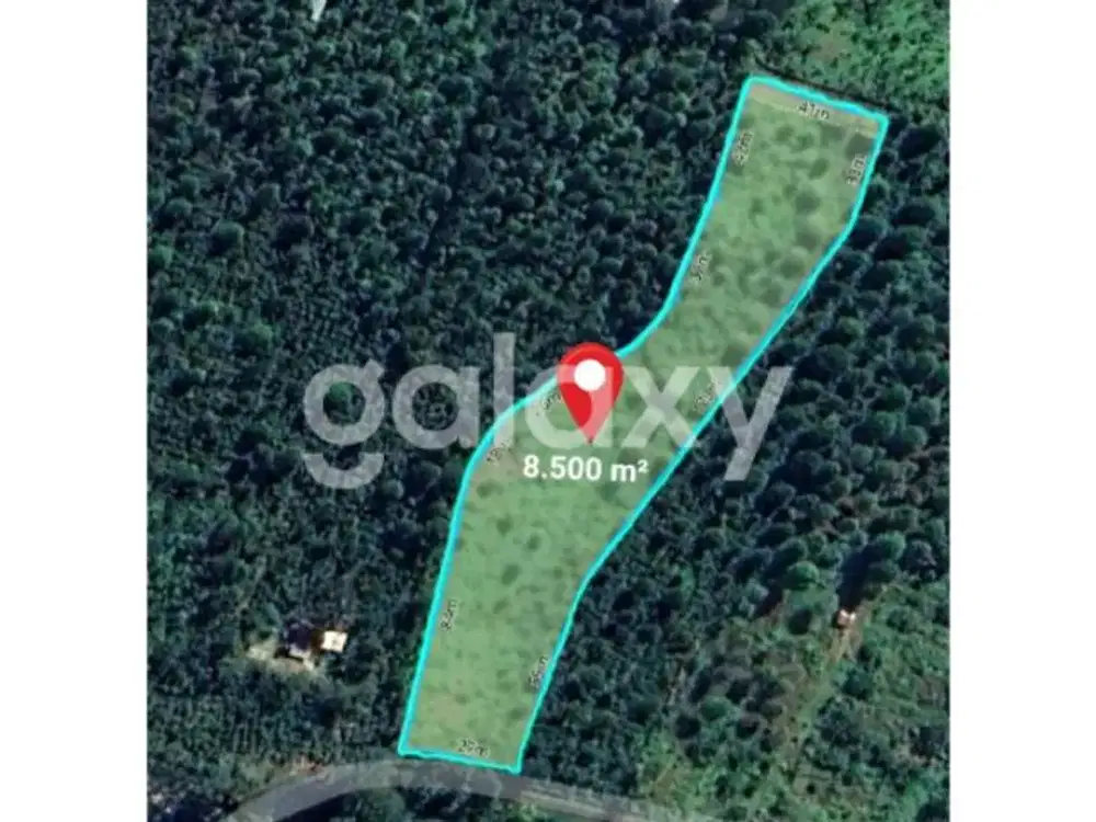 TANAH PERKEBUNAN DURIAN DAN KOPI DI TINGGARSARI BUSUNG BIU BULELENG, BALI