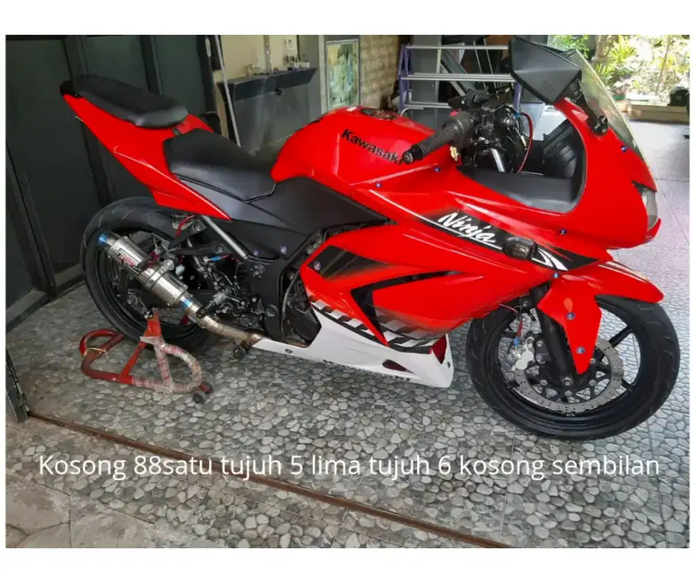 Ninja 250 2 silinder