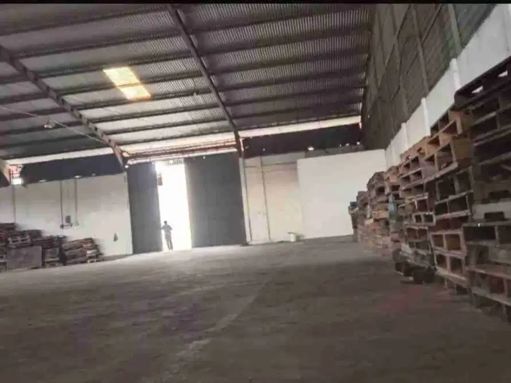 Disewakan Gudang di Plumpang Semper Jakarta Utara