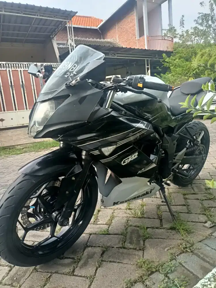 Ninja 250 ABS komplit