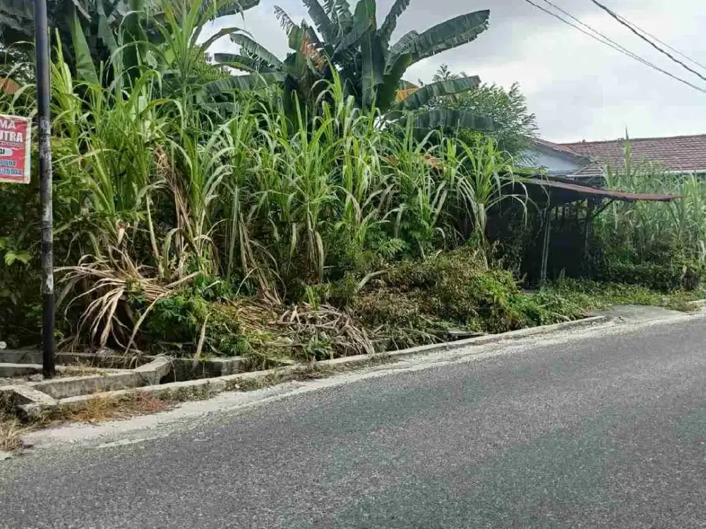 Tanah Jalan Rajawali 3 Panam Siap Bangun