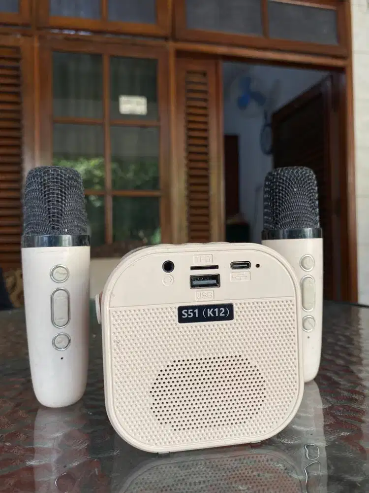 Speaker Karaoke Portable S51 K12 2 Mic Wireless | USB TF AUX