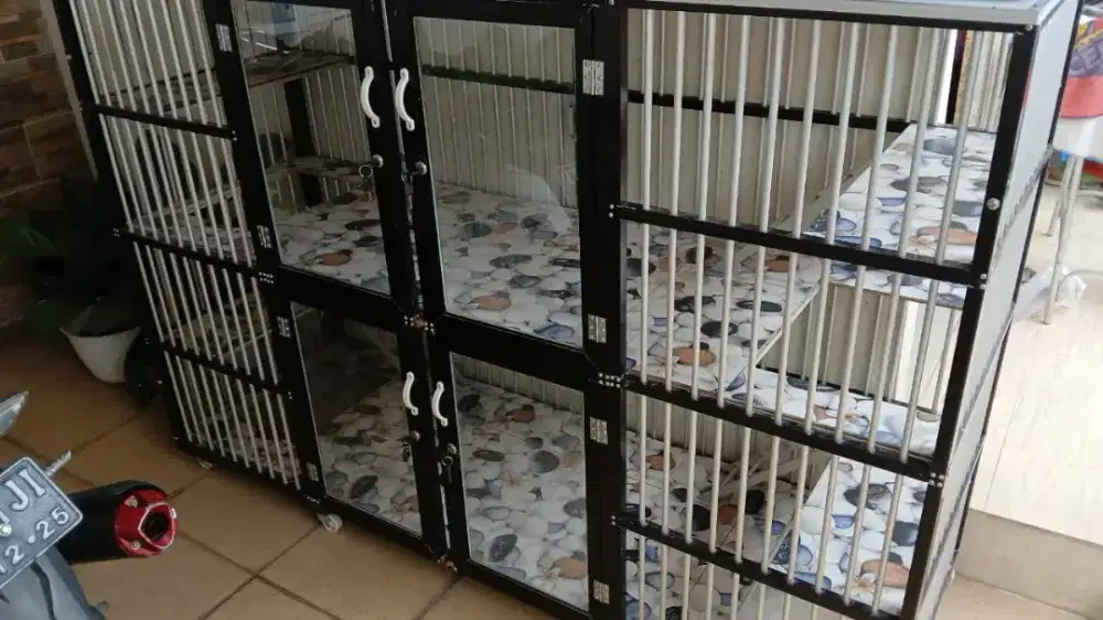 Kandang kucing jumbo