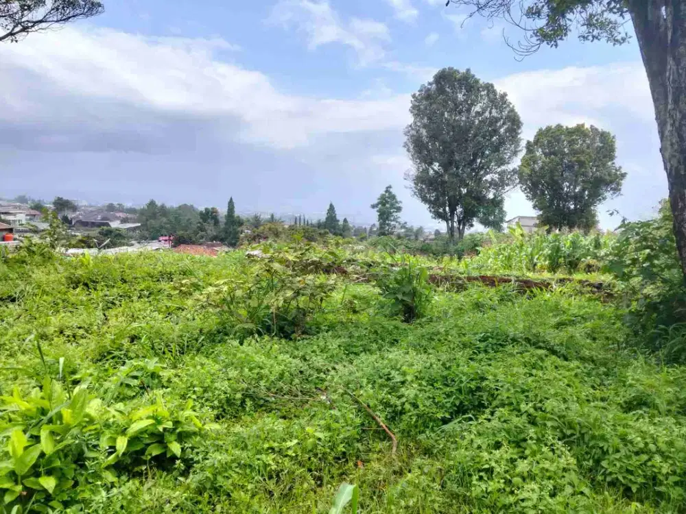 TANAH MATANG CIWARUGA SYP GEGERKALONG MURAH, SHM, NEGO