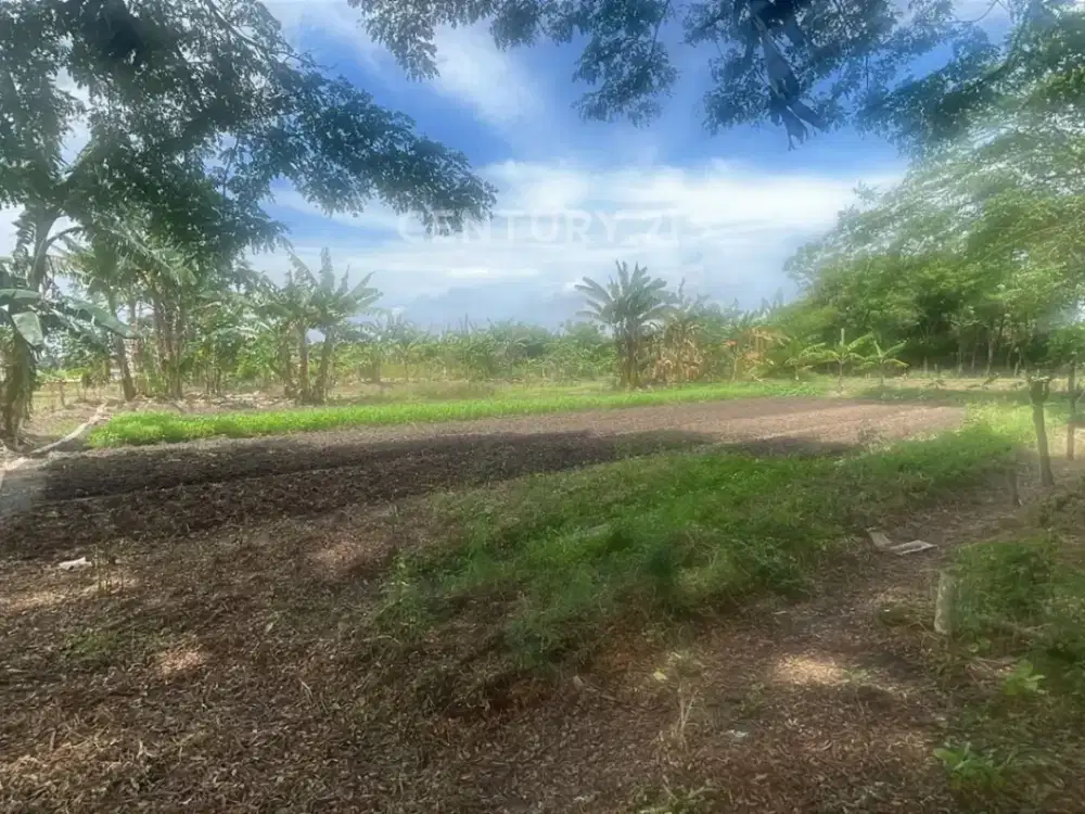 Dijual Tanah Padat Lokasi Pinggir Jalan Cibitung Bekasi