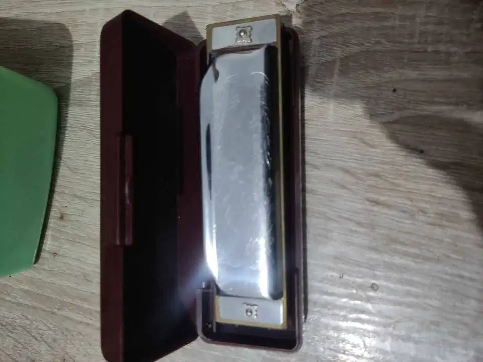 Harmonika Folk Master F