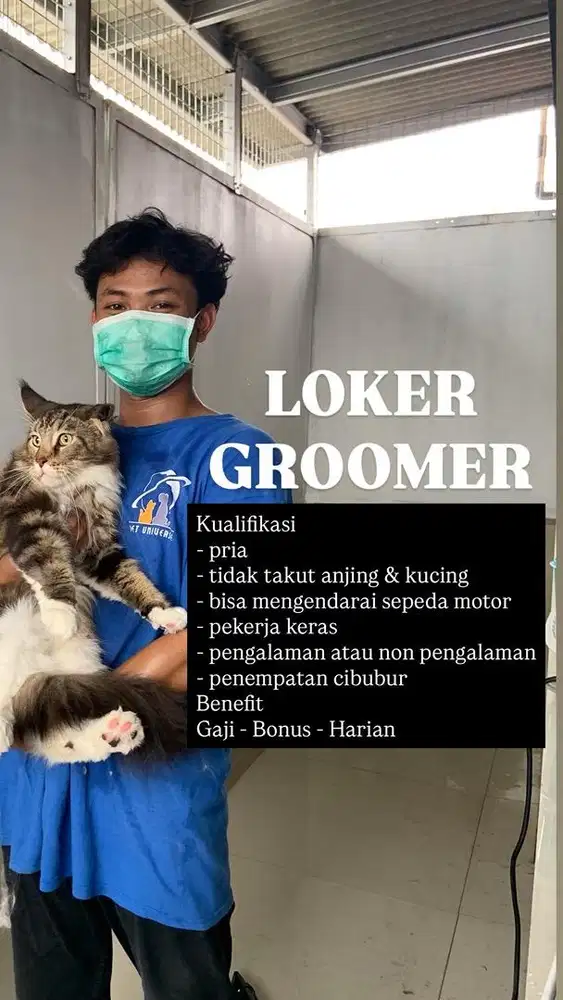 Lowongan kerja groomer petshop