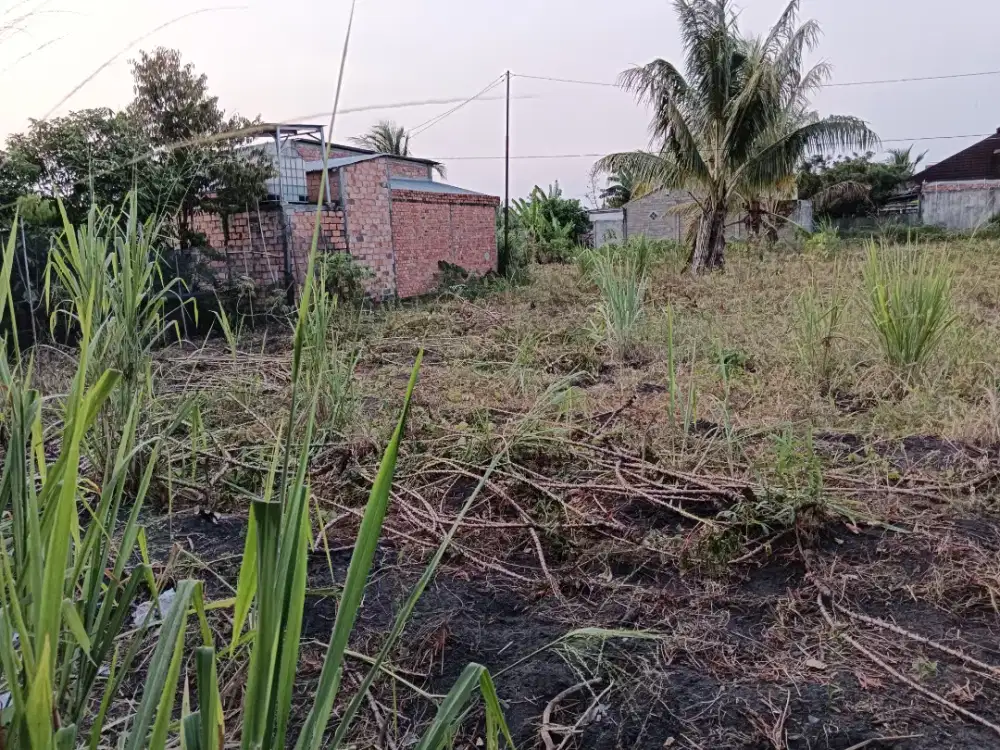 Dijual Cepat! Tanah Datar Murah, Lokasi Strategis Siap Bangun!