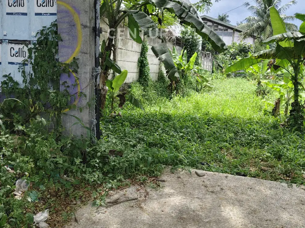 Jual Tanah 500 M²  Di Raya Cariu Cianjur