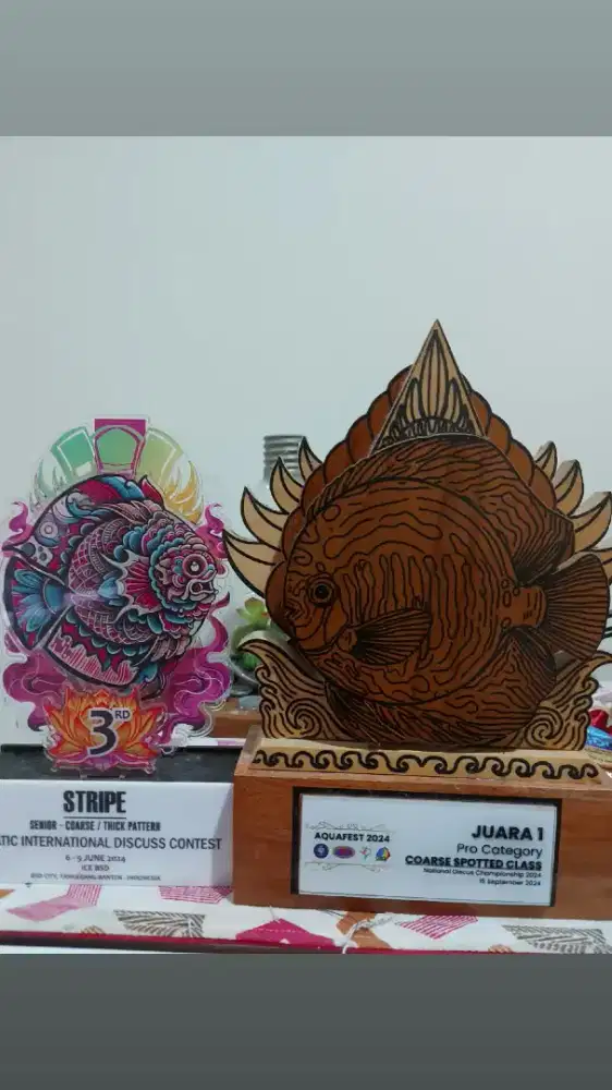 Piala kontest ikan Discus