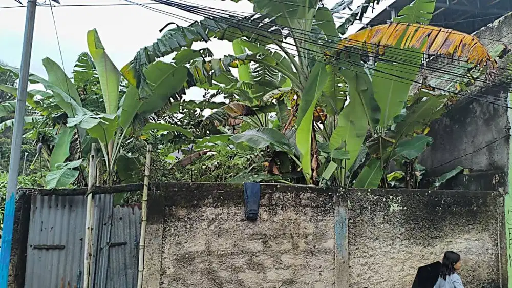 Dijual tanah kebun seluas 112 meter persegi (harga bisa nego)