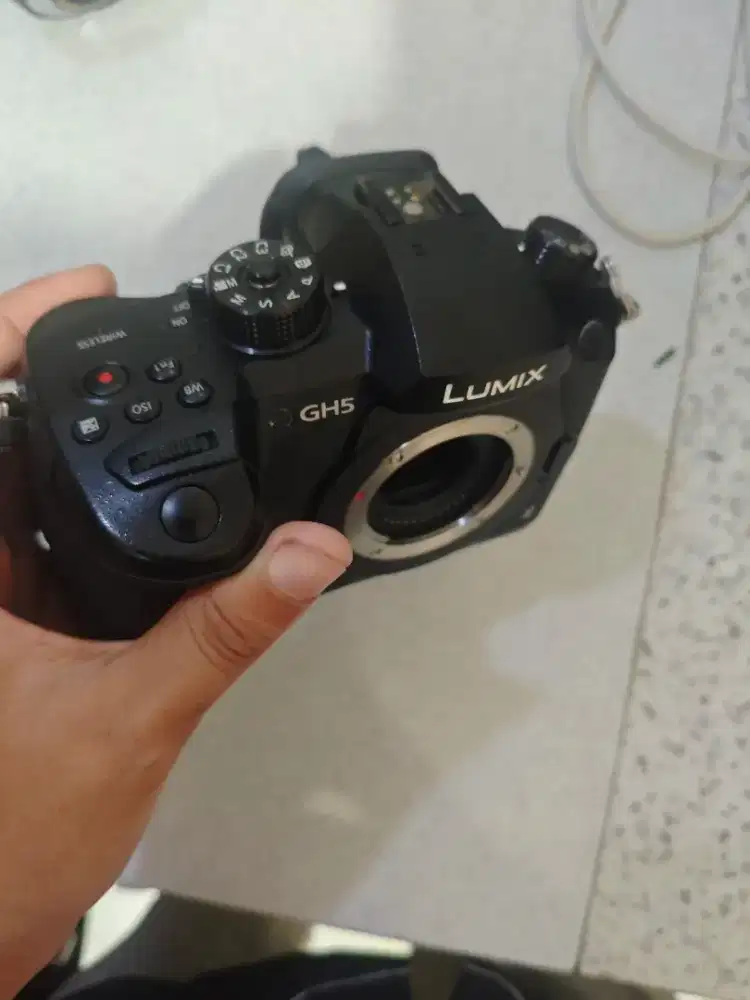 mirrorlees Lumix GH 5